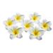 12 pieces women girls 2.4 inches / 6 cm Hawaii frangipani foam flower hair clips for wedding party beach decoration hair clip hawaii hair clip (yellow)