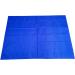 Reusable Flat Sliding Sheets to Assist Moving Transfer Turning and Repositioning The Elderly and Disabled Patient in Beds Hospital and Home (Blue 200x140cm) - Buy Online on GoSupps.com