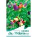 Arcobaleno Pod semi di Pepe Verdure Bonsai semi di Pepe di RARA bellezza semi scolorisce peperoncini 30 pc/sacchetto I24 peperoni Arcobaleno