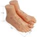 Human TCM Meridian Point Model Acupuncture Female Model Male Model + Hand Model + Foot Model + Ear Model - Buy Online on GoSupps.com