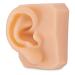 JVXGUK Human Ears Model Facial Features Skin Suturing Training Pad Life-Size Ear Replica of The Facial Features Silicone Model for Practicing for Teaching Education Display
