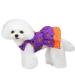 Barrageon dogs Kneid sweet princess rock clothing puppy cat for little pet medium -sized summer clothing Bowknot dog cat (purple -2xl) back length: 40 cm print - purple