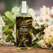OKAY CHOCOLATE PLEASURE REFRESHING BODY MIST 8oz / 237ml - Buy Online on GoSupps.com