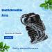 Vitaciti 10 Round Black Detox Foot Bath Arrays - Stainless Steel Ionic Cleansing Accessory - Buy Online on GoSupps.com
