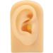 Silicone Ear Model Lifelike Artificial Silicone Ear Model Simulation Elastic for Display (Right) - Buy Online on GoSupps.com