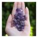 Amethyst Amethyst Crystal Chips Small Purple Gemstone Polished Stones - 50g Bulk Lot Natural Stones and Minerals