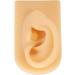 Silicone Artificial Ear Model Simulation of Silicone Ear Model for Practicing Sutures (Right) - Buy Online on GoSupps.com