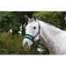 Personalized Padded Headcollar Cover for Horse Pony Full Cob - Nose Band Bridle Cover - Buy Online on GoSupps.com