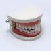 Anti Grinding Teeth Night Guards 3Pcs M White - Mouth Guard for Grinding Teeth, Clenching, Sleep Aid - Buy Online on GoSupps.com