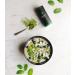 Coffret Moya Matcha th vert en poudre (3 pcs traditional blue) 3 pezzi Tradizionale (II) Grado Set Blu - Buy Online on GoSupps.com