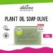  Alviana Olive oil soap 100g - Buy Online on GoSupps.com