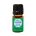 Edens Garden Focus, Focus, Focus "OK for Kids" Essential Oil Synergy Blend, 100% Pure Therapeutic Grade (Undiluted Natural/ Homeopathic Aromatherapy Scented Essential Oil Blends) 5 ml Focus, Focus, Focus 0.17 Fl Oz (Pack o
