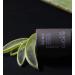 Eufora Style Powder Lift - Volumizing Hair Powder - Buy Online on GoSupps.com