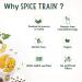 SPICE TRAIN Garlic Powder 200g/7oz - Raw Ground Garlic from India | Resealable Zip Lock Pouch | Cooking Seasoning | Vegan & Gluten-Free - Buy Online on GoSupps.com
