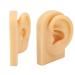 Silicone Ear Model for Suturing Practice - Reusable Soft & Flexible (Left) | Shop Internationally - Buy Online on GoSupps.com