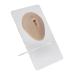 3D Silicone Abdomen Model - Reusable Belly Button Display Stand for Enhanced Teaching Skills | International Shipping Available - Buy Online on GoSupps.com