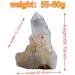 1PCS Natural Crystal Raw Quartz Cluster Clear White Stone Crystal Point Specimen Home Decor Raw Crystals - Buy Online on GoSupps.com