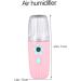 Baluue 2 Pcs Hydrating Instrument Face For Skin Hydration Mist Beauty Sprayer Facial Mister Abs Pink - Buy Online on GoSupps.com