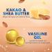 Vaseline Lip Therapy Stick Cocoa Butter Variety Pack - 4 Pack 4.8g | Petroleum Jelly Lip Balm - Buy Online on GoSupps.com
