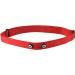 Qiaoxin Replacement Strap for Heart Rate Monitor - Durable Comfort Worldwide Shipping - Buy Online on GoSupps.com