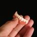 Zhirceke Temporary Dental Prostheses - Repair Your Smile Fast | Upper & Lower Jaw Solutions - Buy Online on GoSupps.com
