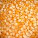 Organic Cholam/Corn - 2kg (Pack of 02) - Buy Online on GoSupps.com