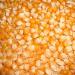 Organic Cholam/Corn - 2kg (Pack of 02)