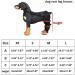 Dog Knee Brace Dog Joint Brace Knee Support with 4 Safety Straps Dog Rear Leg Hock Brace for Luxating Patella Torn Acl Torn Acl Hind Leg Arthritis Prevents Injuries Sprains Help (Size : M) Medium - Buy Online on GoSupps.com