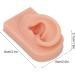 Flexible Reusable Human Ear Model - Soft & Easy to Use for Headphones Display and Acupuncture Training (Light Complexion) - Buy Online on GoSupps.com