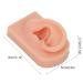 Huleo Fake Ear Model - Reusable Human Ear for Earrings Display & Acupuncture Training - Buy Online on GoSupps.com