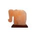 Pink Hill Elephant Shape 2-3 Kg Himalayan Salt Lamp