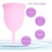 Menstrual Cup Reusable Silicone Female Menstruation Cup Safety for Menstrual Lady soft menstrual period in silicone for feminine menstrual hygiene Menstrual Cups Feminine Hygiene Product (L-Pink) - Buy Online on GoSupps.com