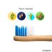 Bamboo Electric Toothbrush Heads - Eco-Friendly Biodegradable & Recyclable | Compatible with Sonicare - Buy Online on GoSupps.com