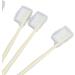 Jeanoko 10-Part Soft Bristle Toothbrush Set for Deep Cleaning - Adult Toothbrushes with Covers for Men & Women - International Shipping Available - Buy Online on GoSupps.com