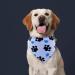 JpGdn 10pcs Pack Large Dog Bandanas Paw Pattern Triangle Scarf for Large XL Dogs Pigs Soft Bibs Washable Pet Neckerchief Dog Grooming Accessories Costume Size L 10 colors - Buy Online on GoSupps.com