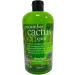 Treaclemoon Cucumber Cactus Cool Shower Gel with Cactus Fig Extract Contents: 500 ml Shower Gel - Buy Online on GoSupps.com