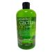 Treaclemoon Cucumber Cactus Cool Shower Gel with Cactus Fig Extract Contents: 500 ml Shower Gel