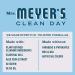 Mrs. Meyer's Rain Water Hand Soap - 12.5 fl. oz, Pack of 6 | Biodegradable Formula with Essential Oils - Buy Online on GoSupps.com