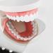 Steel Dental Mirror - Orthodontic Supplies for Intraoral Examinations - Buy Online on GoSupps.com