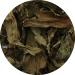  Lerbs & Hagedorn Lerbs & Hagedorn Wellness Tee Peppermint Leaf Tea 1kg (approx. 71 litres) Genuine French Mint Spicy & Fresh - Buy Online on GoSupps.com