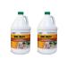 American Hydro Systems 2662 Rid O' Rust Liquid Rust Stain Remover, 1 Gallon, 2 Pack 1 gallon/2 Pack