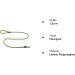 Durable Fluor Green Rope Dog Leash - 1.55m 10mm | 27 Colors & 7 Lengths Available | International Shipping - Buy Online on GoSupps.com