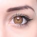 Matlens Geolica Brown Royal Cafe Colored Contact Lenses - Big Eyes WPM-506 | 2 Lenses + Case + 50ml Care Solution | 5.75 Diopters - Buy Online on GoSupps.com