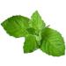 Buy Bathing Beach Menthol Foot Cream 100ml - Nourishing Soothing Relief for Tired Feet - International Shipping Available - Buy Online on GoSupps.com