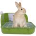 Humorous.P Rabbit Litter Box - Green Rectangular Plastic Cage Potty Trainer - Buy Online on GoSupps.com