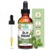 Botanic Choice Oil of Oregano Liquid Extract - Alcohol Free Herbal Supplement, Traditional Support for Immune and More - 1 Fl. Oz.
