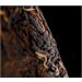 Pu-erh tea 2020 Old comrade Scorching sun 357g Cooked - Buy Online on GoSupps.com