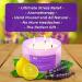 Lemon Lavender 3 Wick Candle | Large 16 Oz Soy Aromatherapy Candle for Stress Relief | Home Scented Candle with Relaxing Lavender and Revitalizing Lemon Scents - Buy Online on GoSupps.com