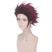 Buy Kamado Tanjirou Wig | Demon Slayer Kimetsu no Yaiba | Dark Red Heat Resistant Synthetic Hair - 30cm - Buy Online on GoSupps.com