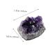 PRETYZOOM Purple Ornament 2pcs Amethyst Cluster Chips Rock Amethyst Gravel Geode Natural Crystal Adornment Irregular Fluorite - Buy Online on GoSupps.com